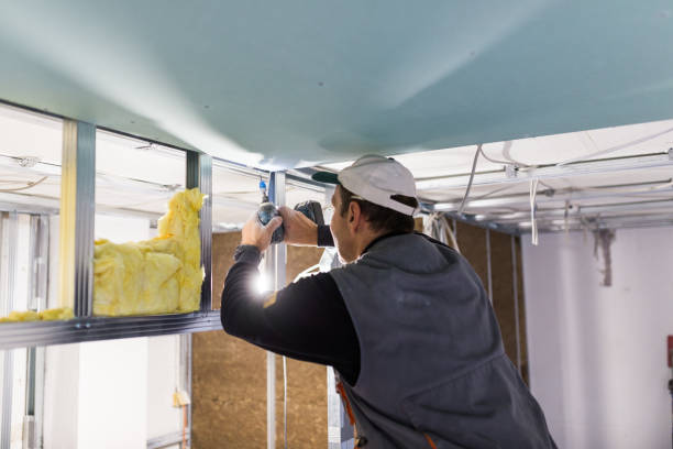 Best Insulation Replacement Services  in Fairbank, IA