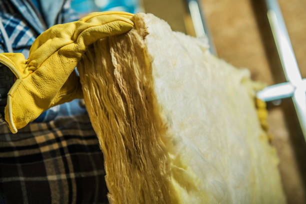 Best Insulation Inspection Services  in Fairbank, IA