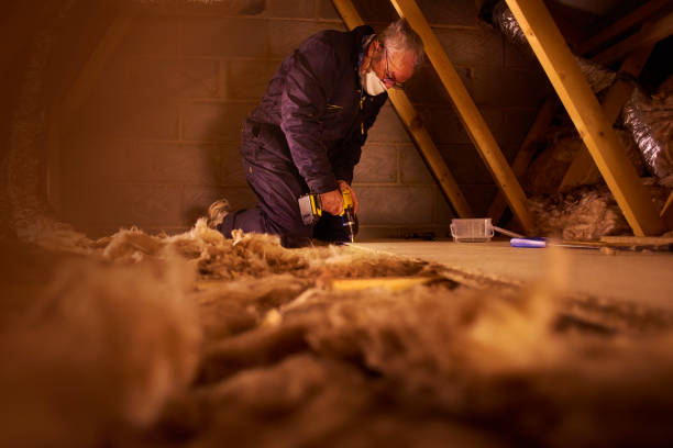 Best Attic Insulation Installation  in Fairbank, IA